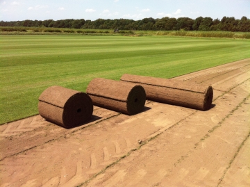 World Beating Turf Rolls From County Turf