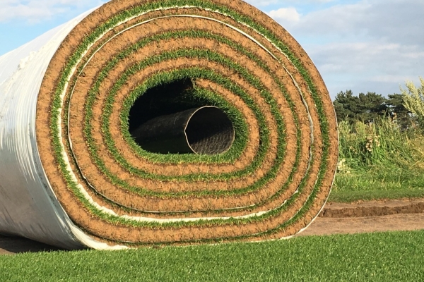 Leicester Tigers stay loyal to a natural pitch image 3