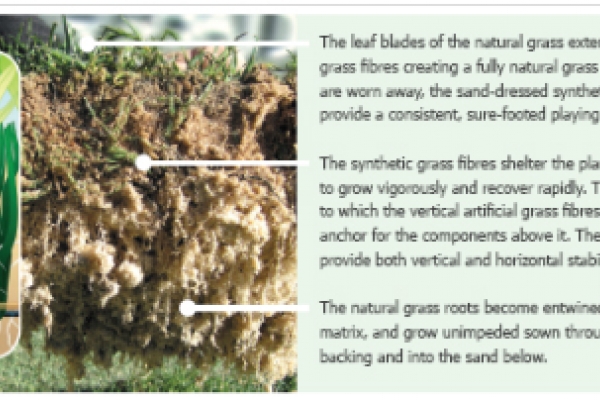 County Turf Secure UK and European License for Eclipse Reinforced Natural Turf