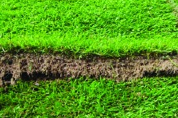 Fibre reinforced turf